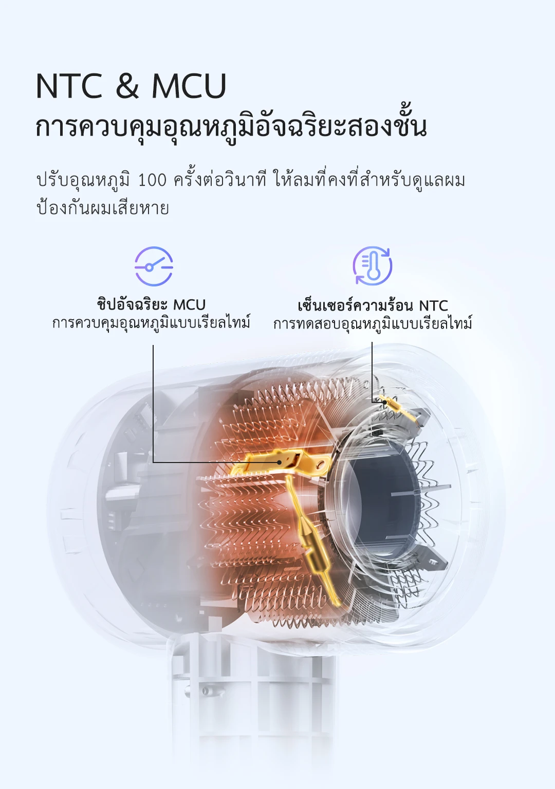 BABONIR FG2 — รายละเอียดสินค้า 8