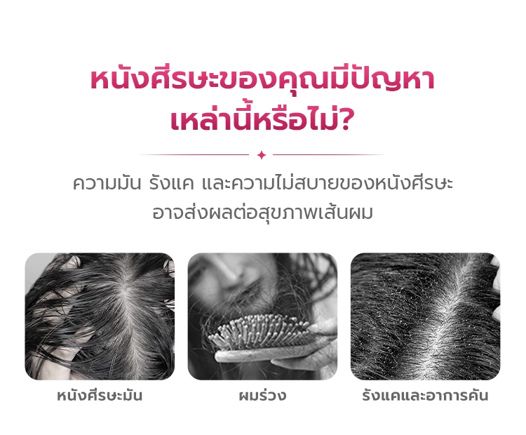 BABONIR FG208 — รายละเอียดสินค้า 3