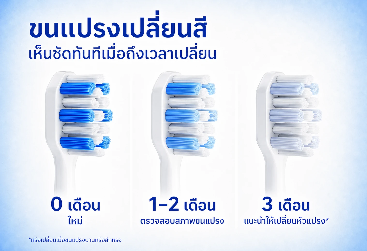 BABONIR S1PX — รายละเอียดสินค้า 5